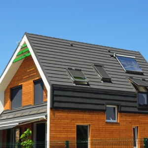 shutterstock 1337696864