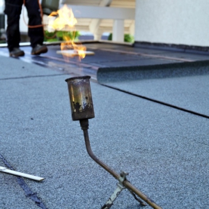 shutterstock 1471821641