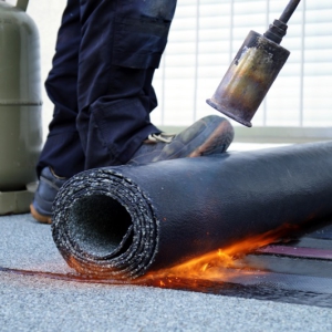 shutterstock 1471821653