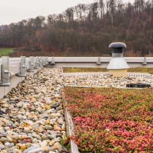 shutterstock 1640613118