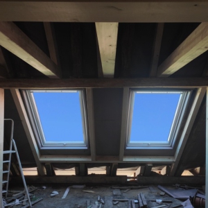 shutterstock 1248127012