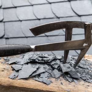 shutterstock 1948288864