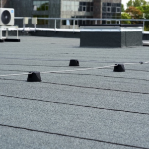 shutterstock 1982038100