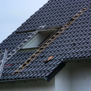 shutterstock 1750846076