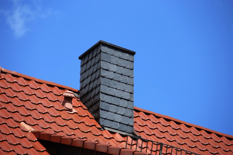 shutterstock 1240095391