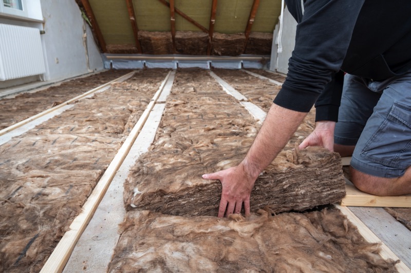 shutterstock 2033197670